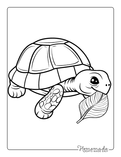 Turtle Coloring Pages Cute Turtle Eating Leaf