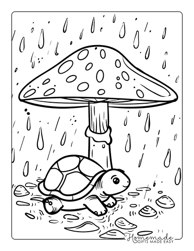 Turtle Coloring Pages Cute Turtle Mushroom Umbrella