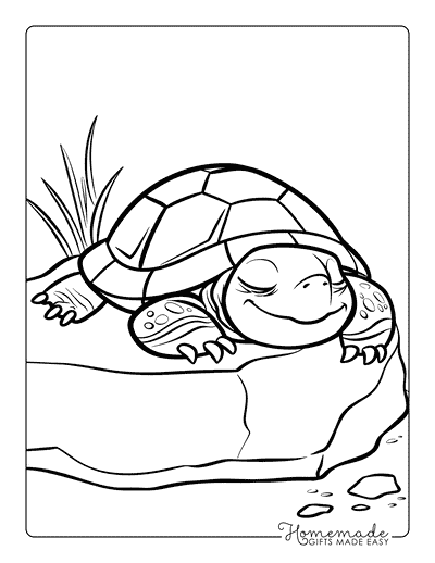 Turtle Coloring Pages Cute Turtle Sleeping on Rock