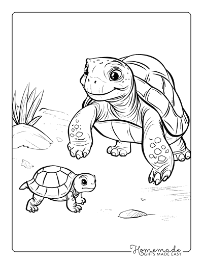 Turtle Coloring Pages Grandma and Baby Turtle
