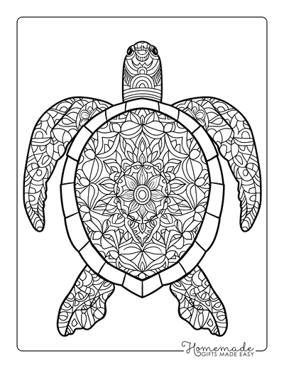 Turtle Coloring Pages Mandala Sea Turtle