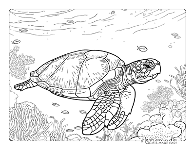 Turtle Coloring Pages Realistic Sea Turtle in Coral Reef