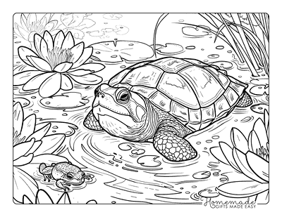 Turtle Coloring Pages Realistic Snapping Turtle in Pond