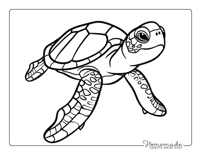 Turtle Coloring Pages Simple Sea Turtle