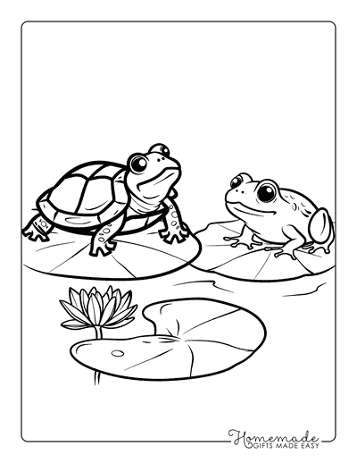 Turtle Coloring Pages Turtle and Frog
