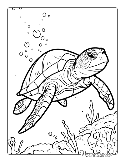 Turtle Coloring Pages Turtle Swimming in Ocean