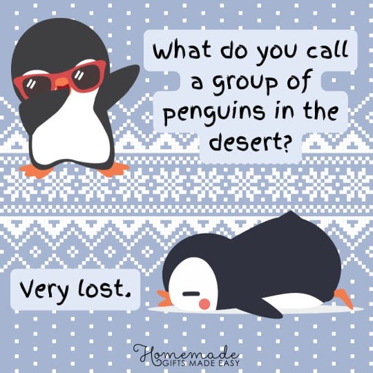 winter jokes for kids very lost penguins