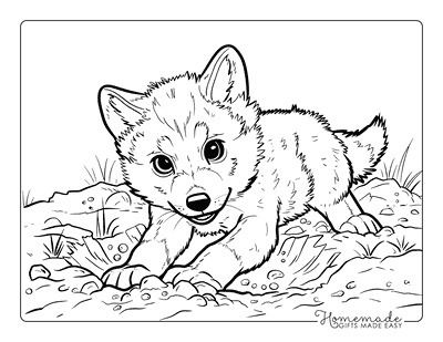 Wolf Coloring Pages Cute Realistic Easy Wolf Pup Digging