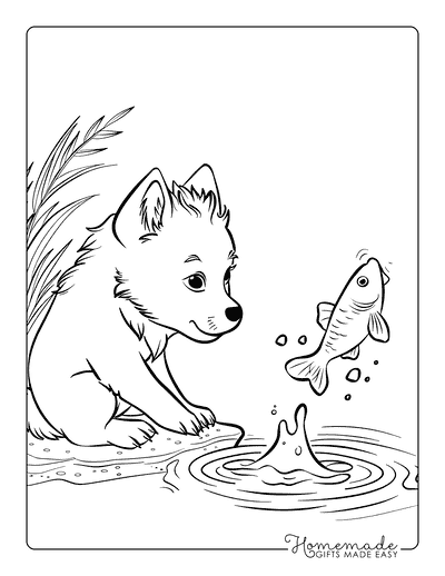 Wolf Coloring Pages Cute Wolf Pup Watching Fish