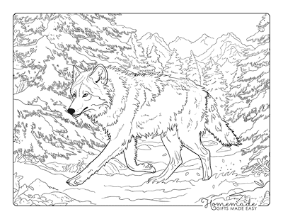 Wolf Coloring Pages Realistic Wolf in Snowy Landscape