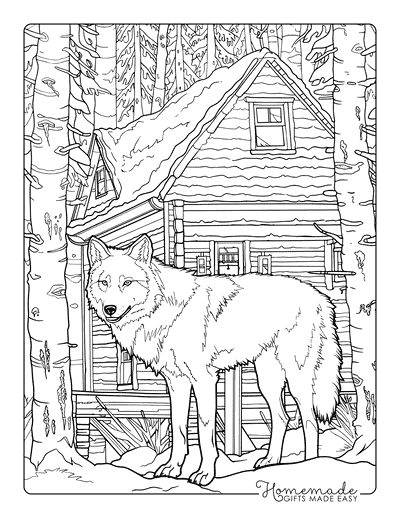 Wolf Coloring Pages Realistic Wolf Near Rustic Cabin