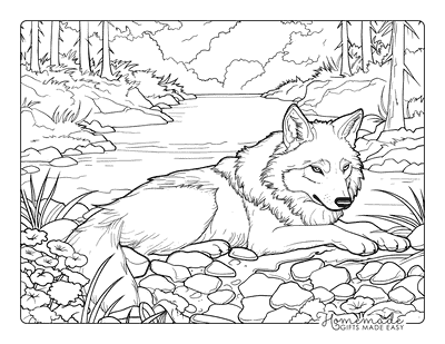 Wolf Coloring Pages Realistic Wolf Resting by Stream