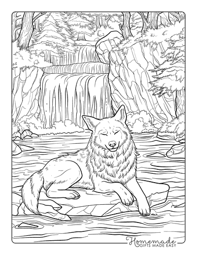 Wolf Coloring Pages Realistic Wolf Sitting on Rock in Pond