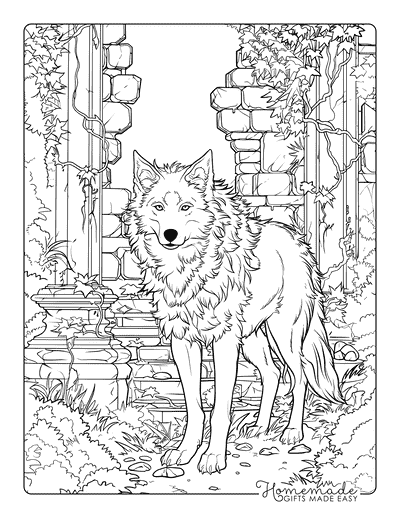 Wolf Coloring Pages Realistic Wolf Standing in Castle Ruins